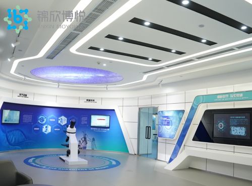 成功入庫國家項目，成都錦欣博悅加速技術創新與軟件開發布局